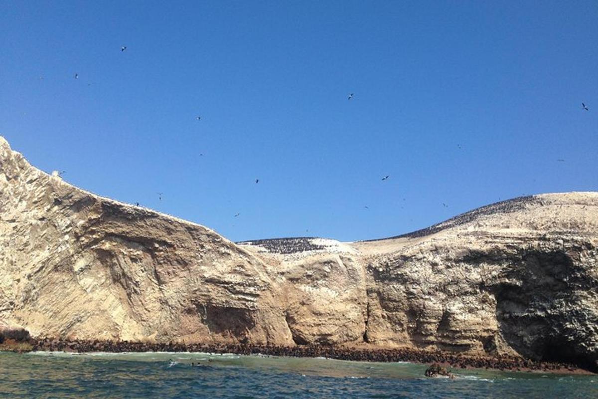 un vessant rocós amb l'oceà al davant
