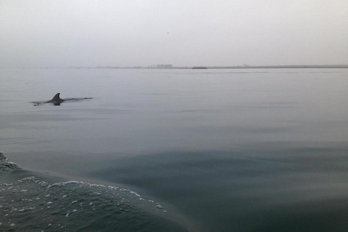 un avió aturat al mig d'una massa d'aigua