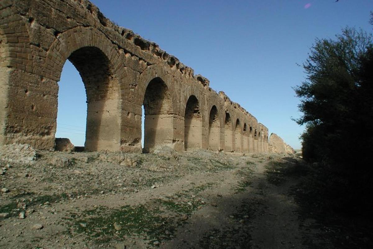 Foto 4 de l'atracció turística