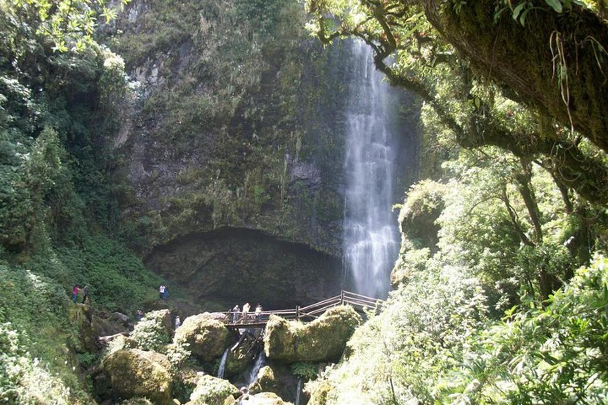 Foto 5 de l'atracció turística