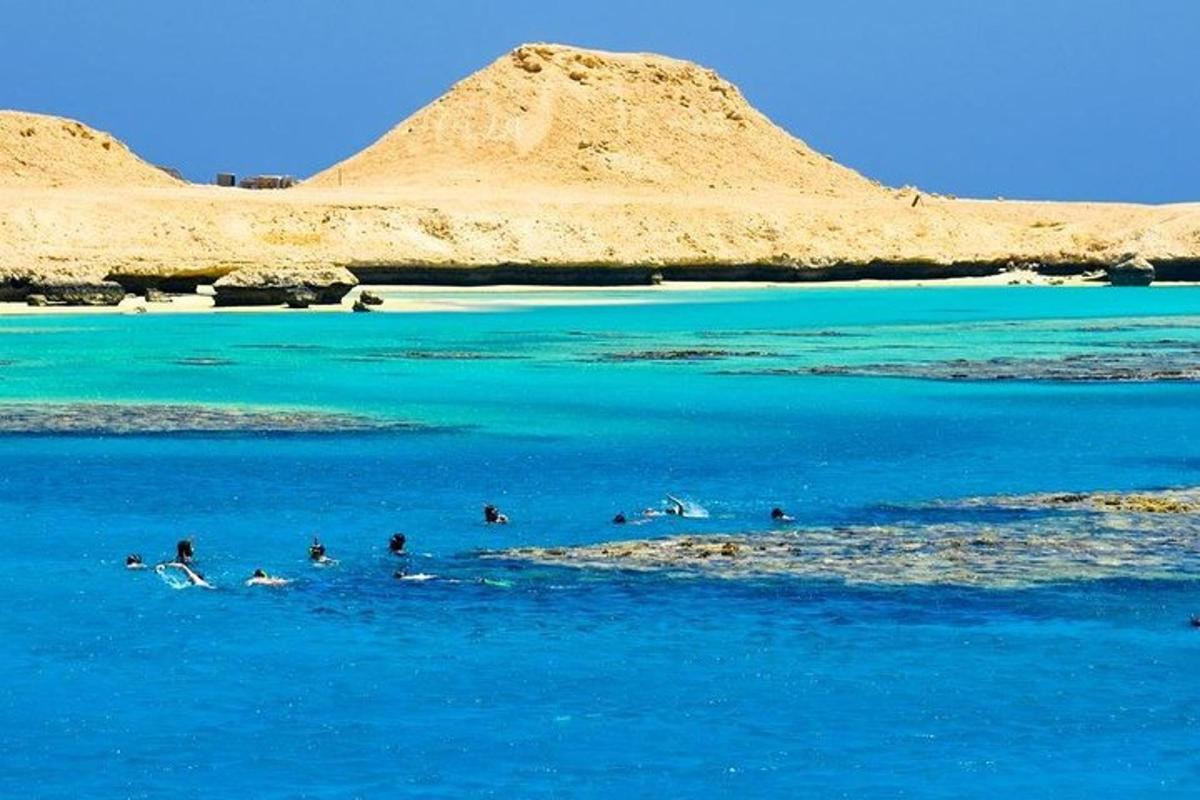 a group of birds swimming in the blue water