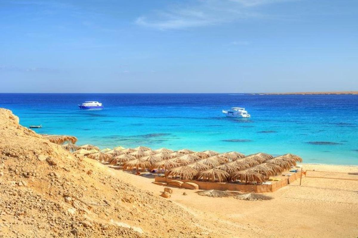 a beach with many straw umbrellas and the ocean