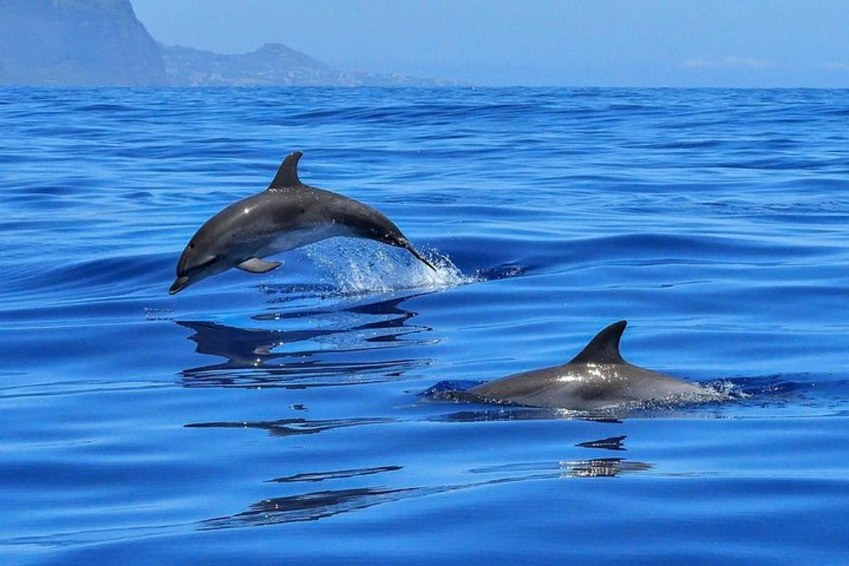 Lankytinos vietos ar pramogos nuotrauka numeris 5