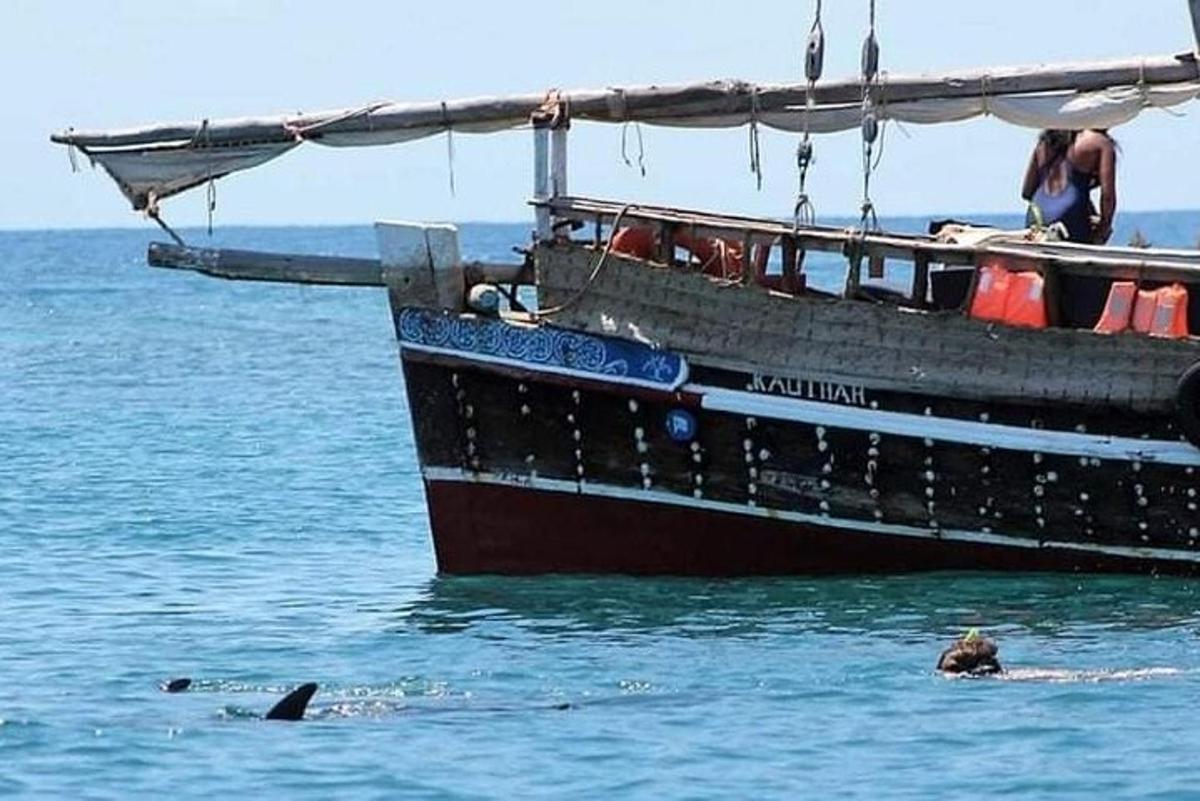 hundur syndir í vatninu við hliðina á bát