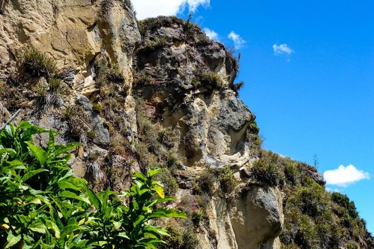 a rocky mountain with plants on the side of it