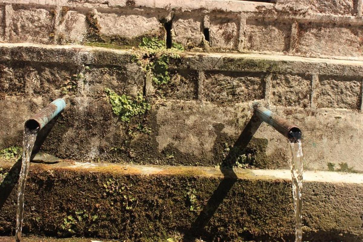 Fotografia da atração 4