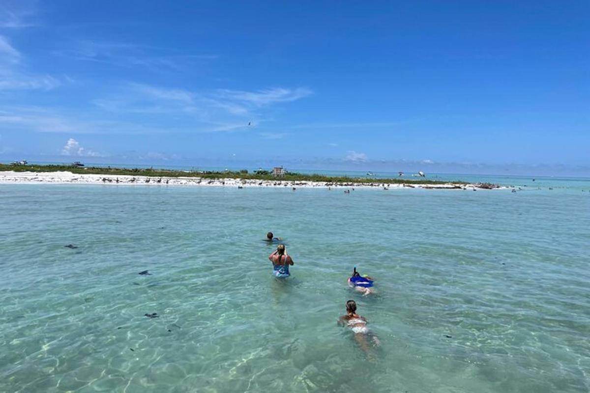 een groep mensen in het water op een strand