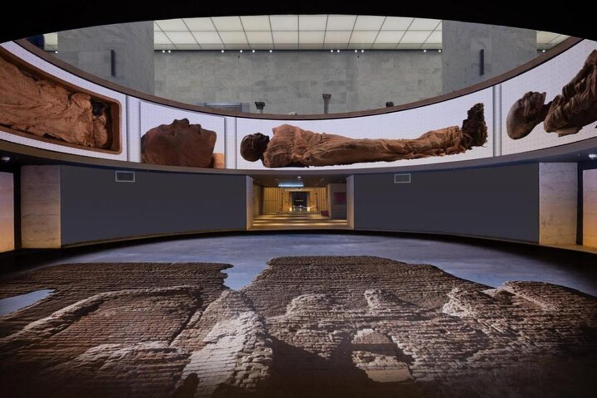muzeum s velkým kobercem na podlaze s artefakty