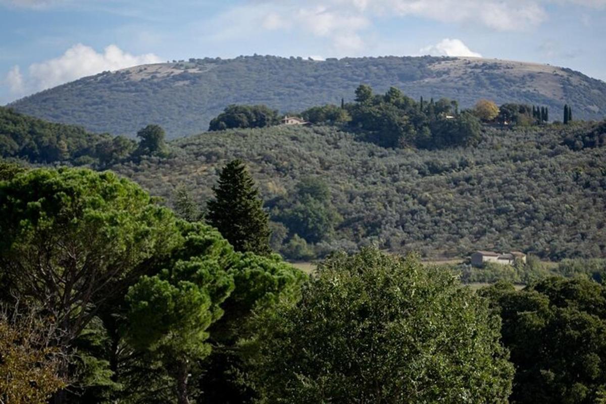 Lankytinos vietos ar pramogos nuotrauka numeris 7