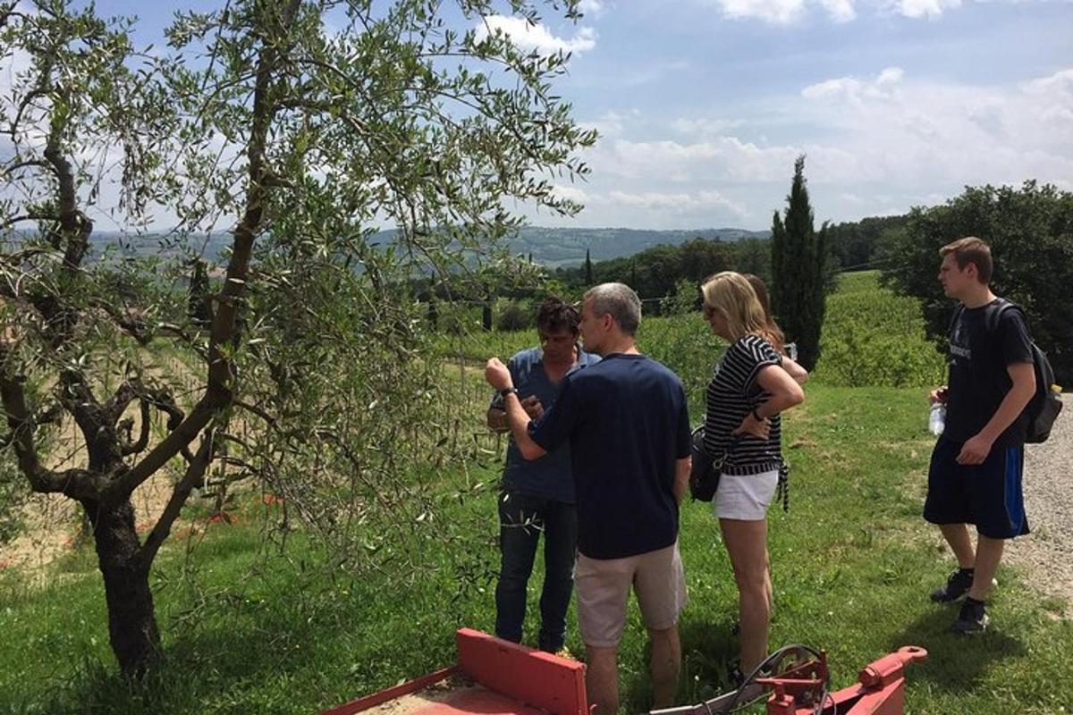 a group of people standing next to a tree