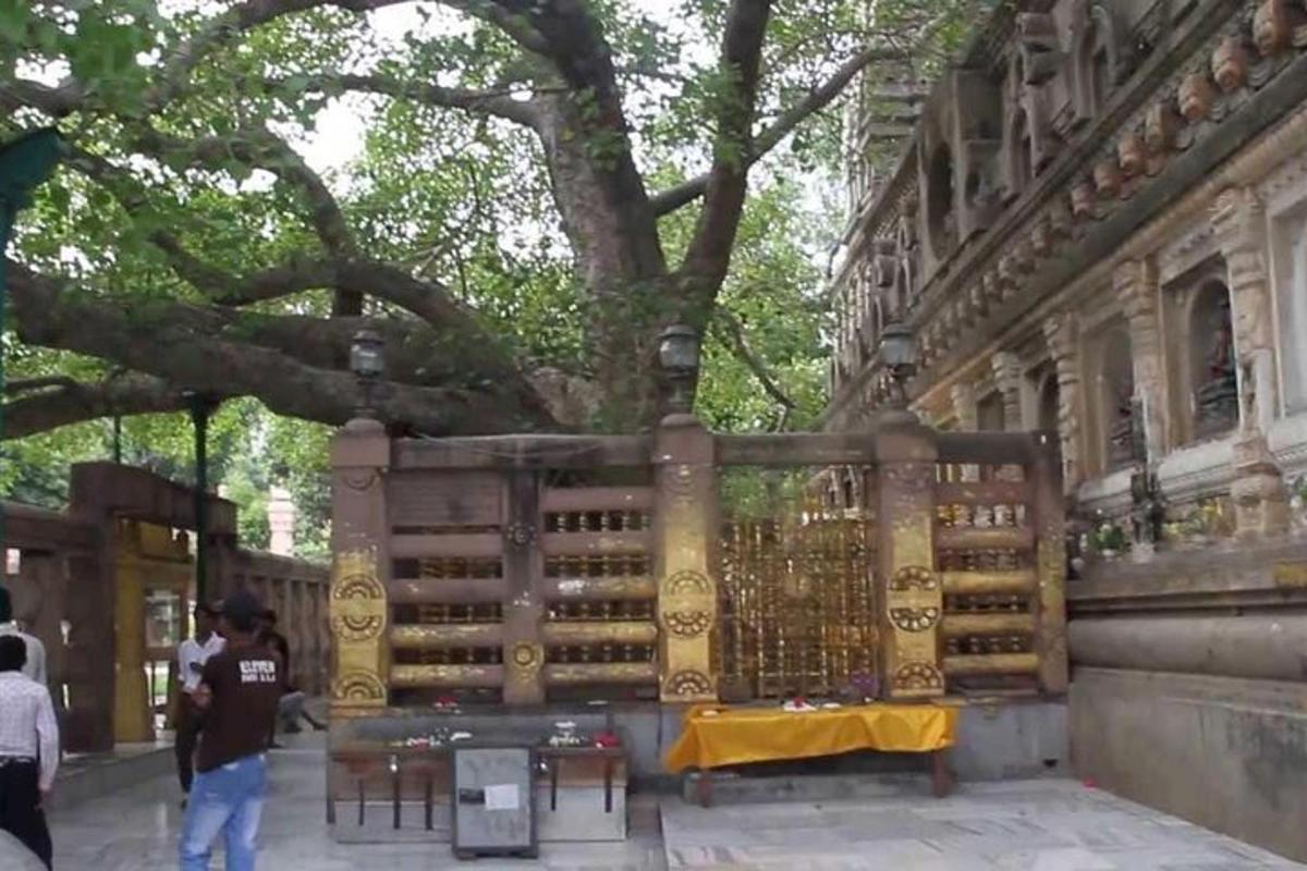 un edificio con una mesa delante de un árbol