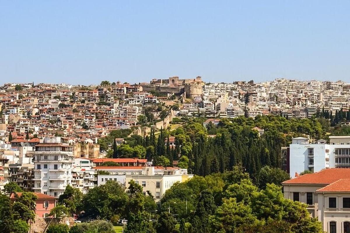 una vista d'una ciutat amb edificis i arbres