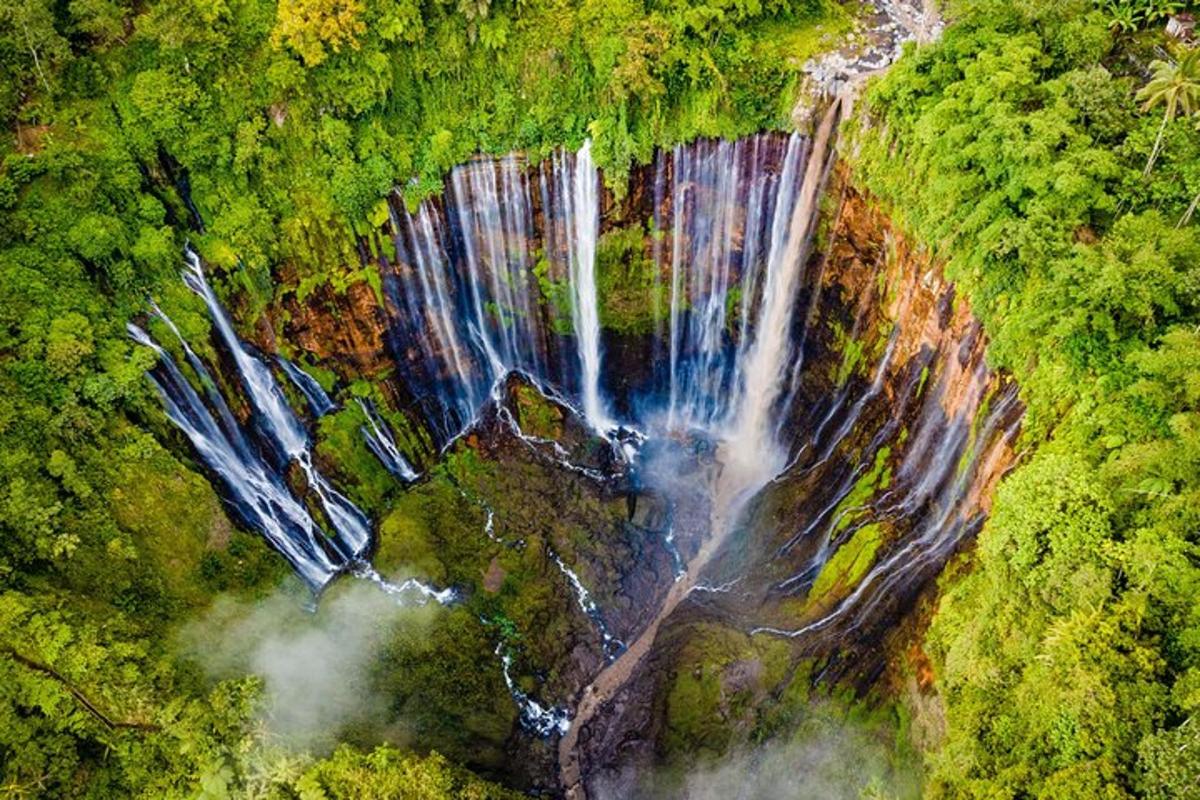 an aerial view of a waterfall in a forest