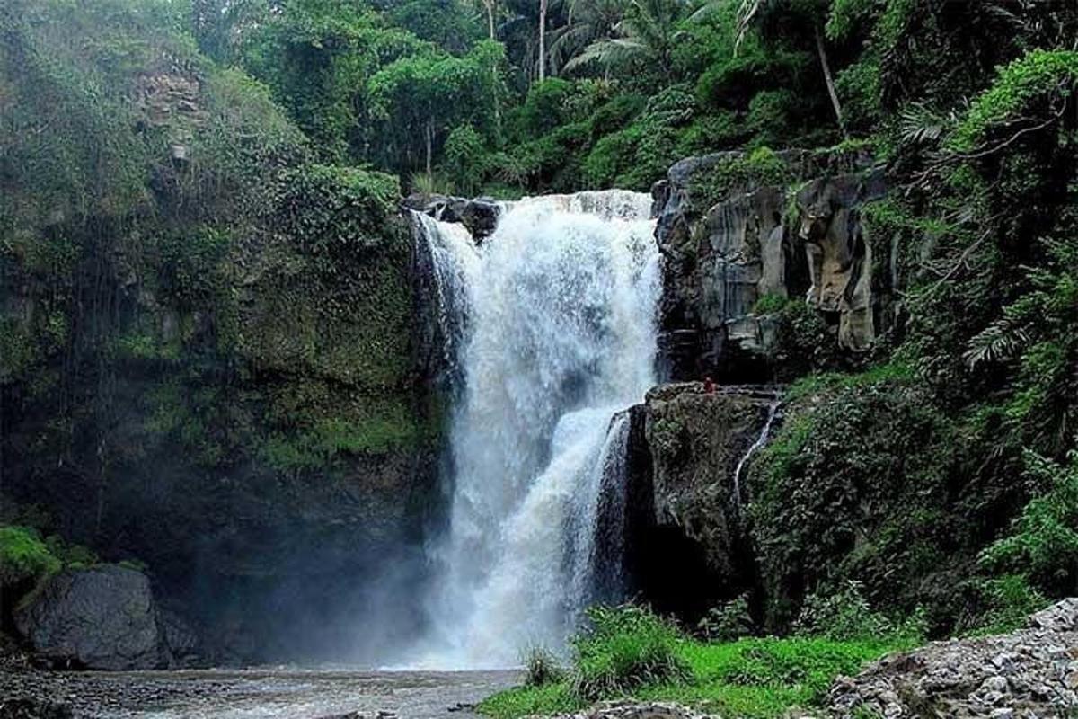 a waterfall in the middle of a forest