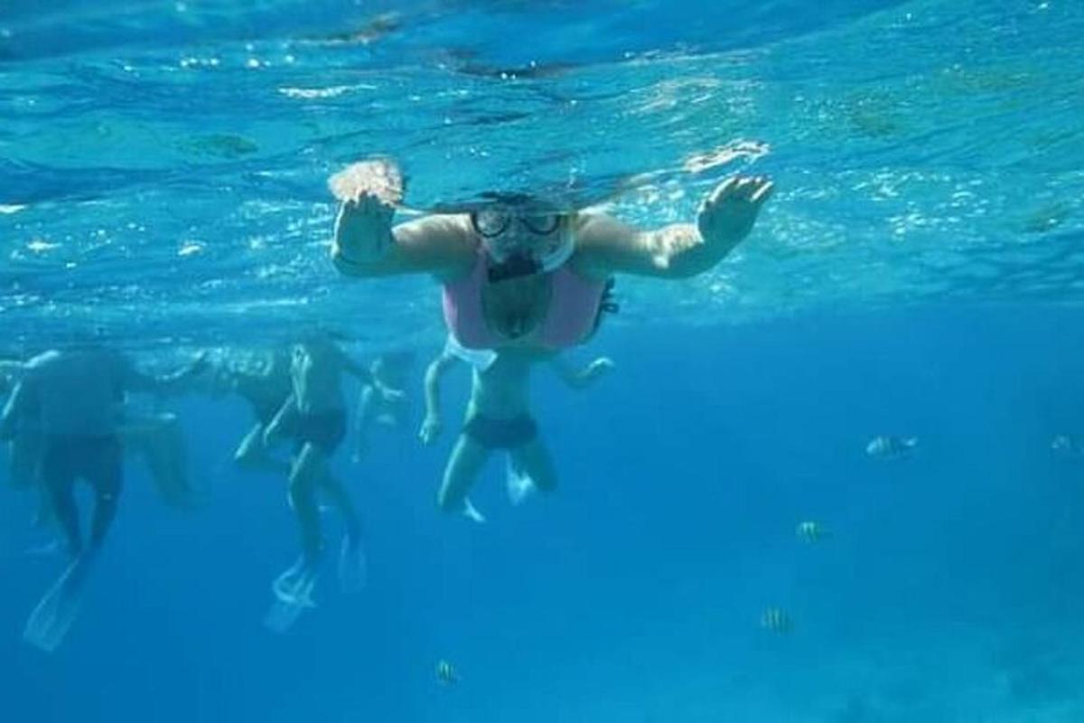 Un hombre nadando en el agua con un grupo de delfines.