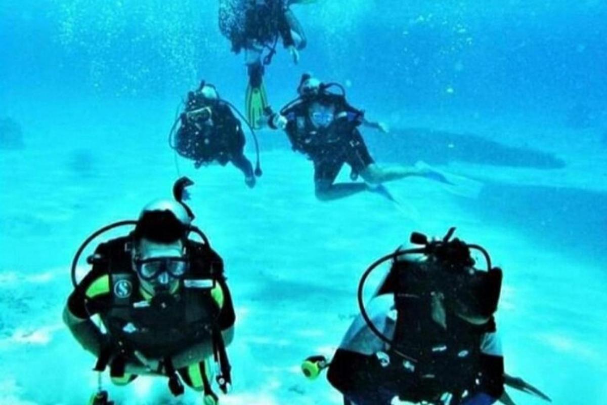un grupo de personas buceando en el agua