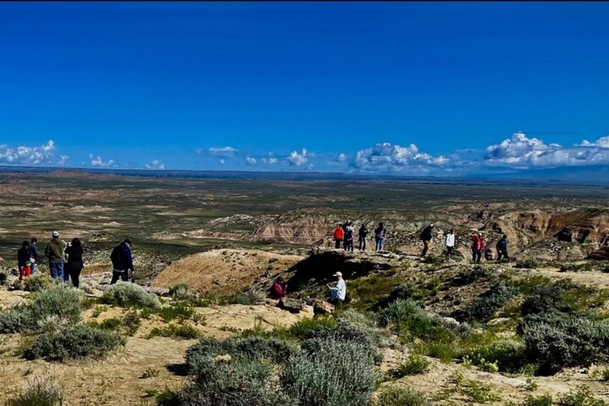 Fotografia da atração 5