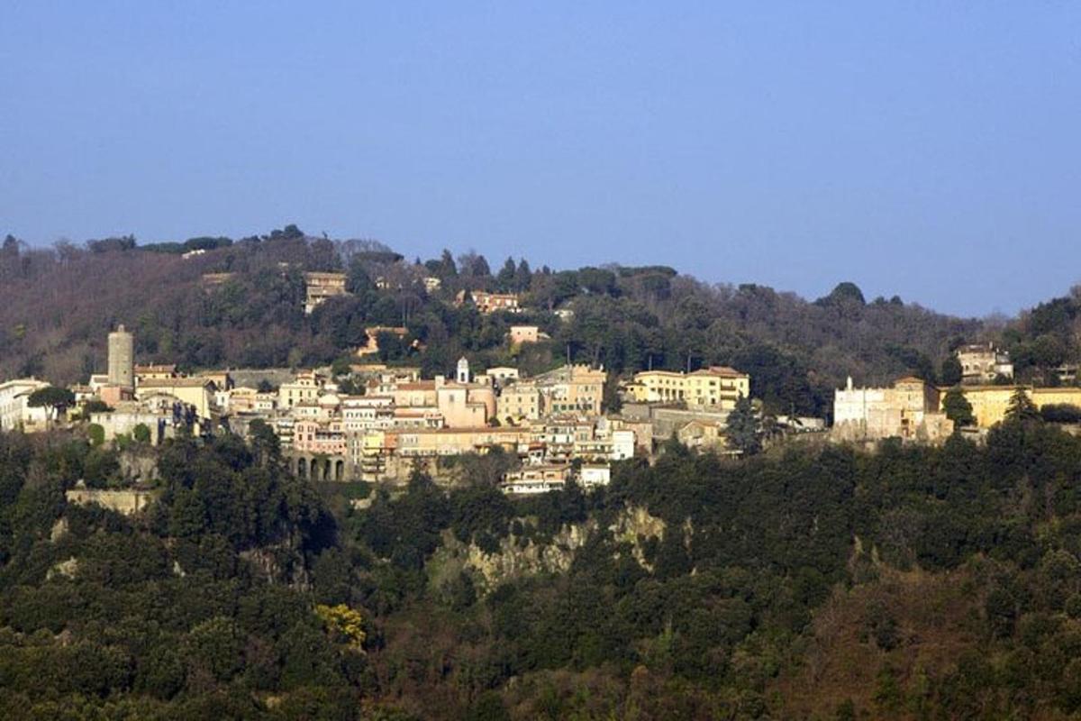 uma cidade no topo de uma colina com casas