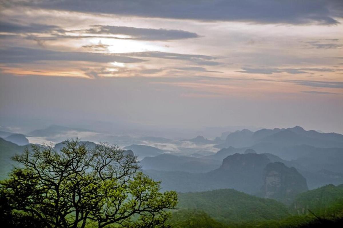 Fotografia da atração 6