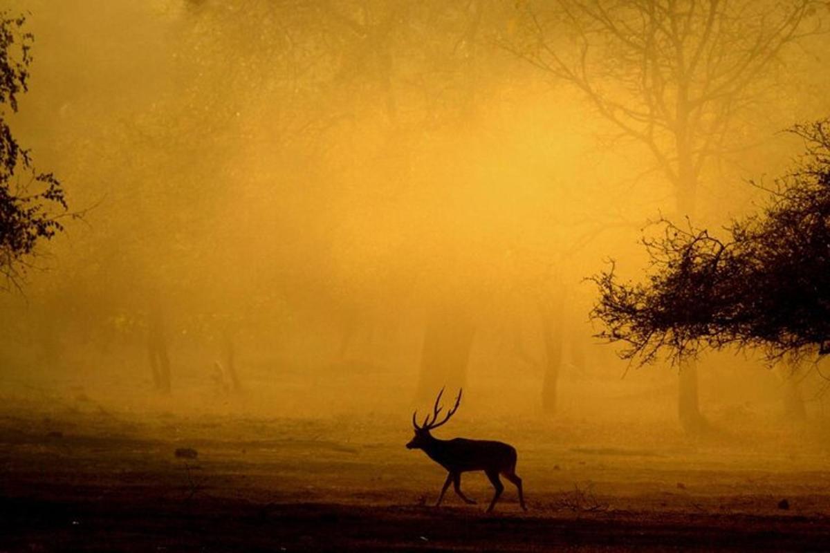 5 foto atraksi wisata