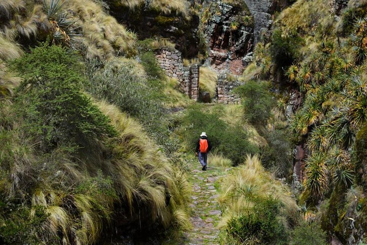 uma pessoa caminhando por um caminho em uma montanha