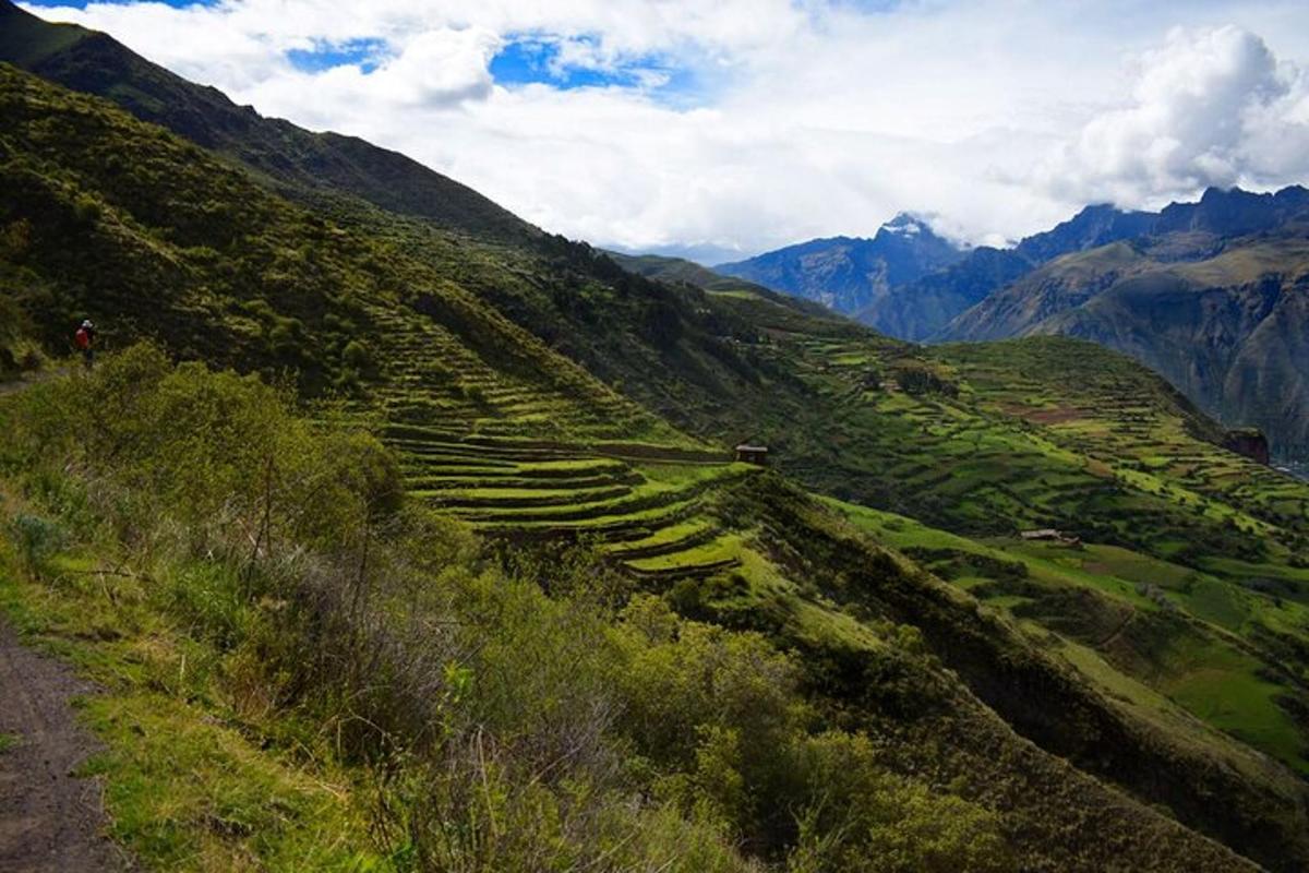un pendio erboso con vista su una montagna