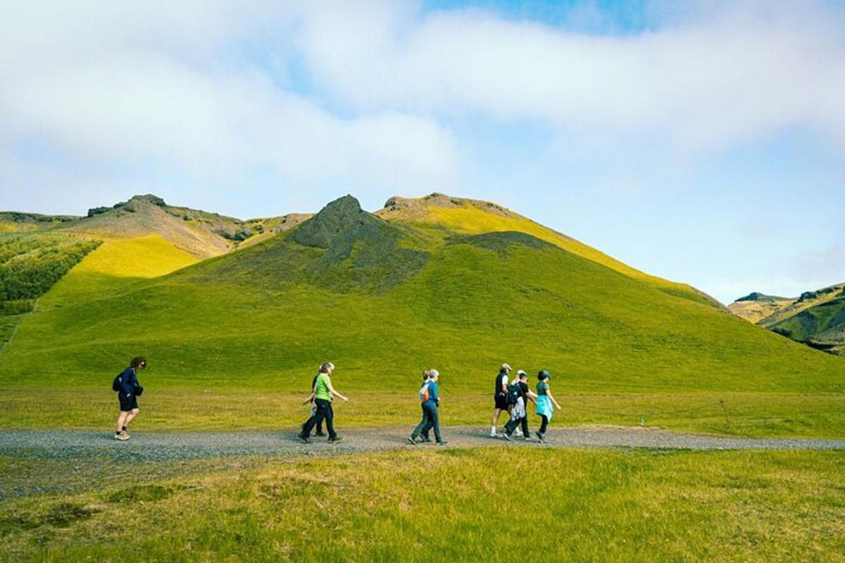 hópur fólks sem gengur niður stíg á akri