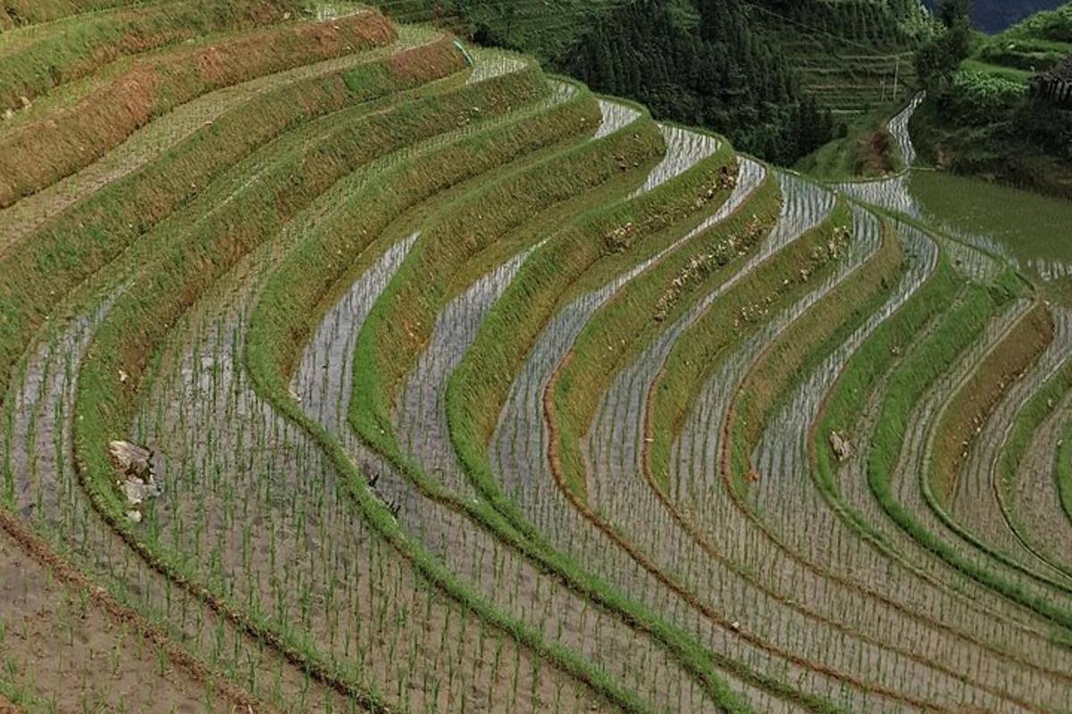 Fotografia da atração 6