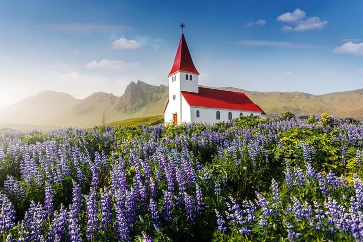 una chiesa in un campo di fiori viola