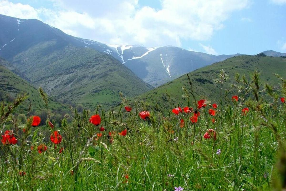 Turistik nokta fotoğrafı 1