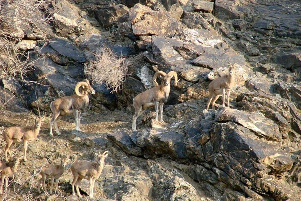 Lankytinos vietos ar pramogos nuotrauka numeris 5