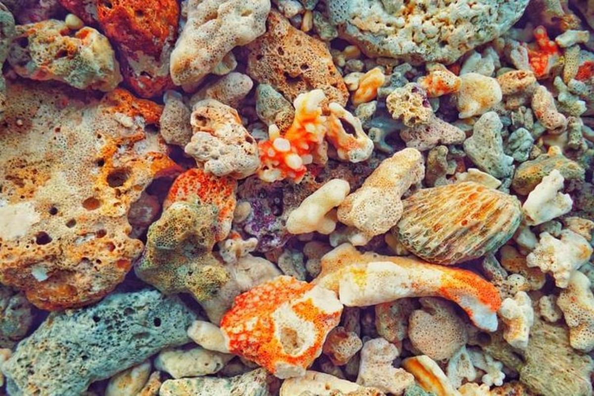 kup kamenja in drugih odpadkov