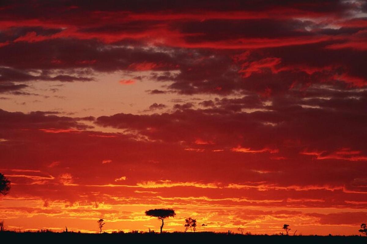 una posta de sol en un camp amb un cel vermell