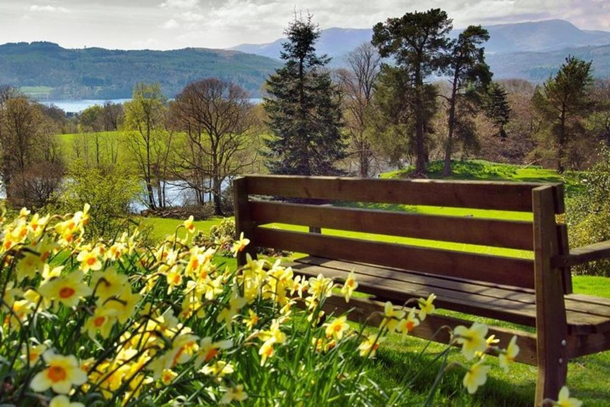 a wooden bench sitting in a field of flowers