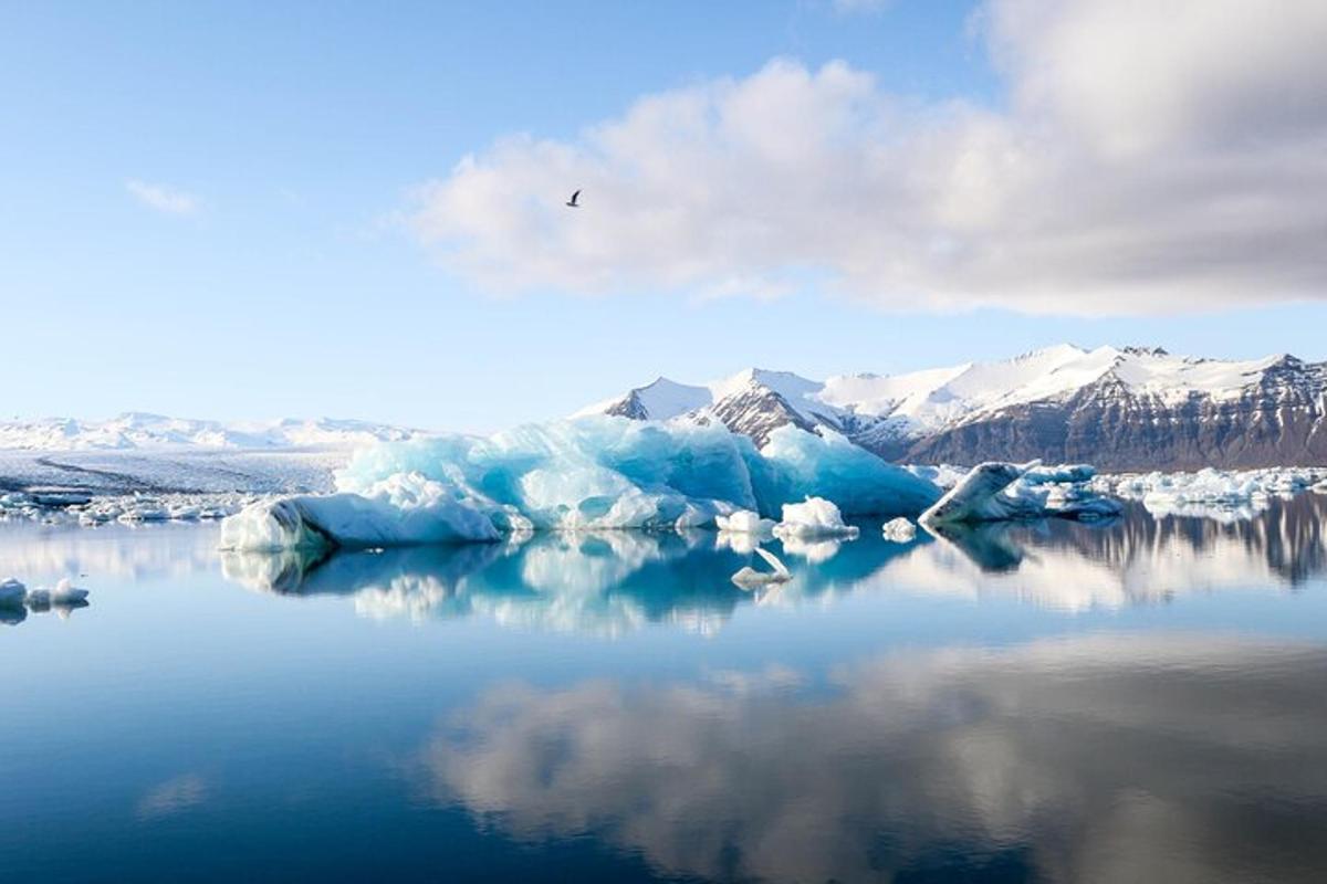 un iceberg a l'aigua amb un ocell volant per sobre