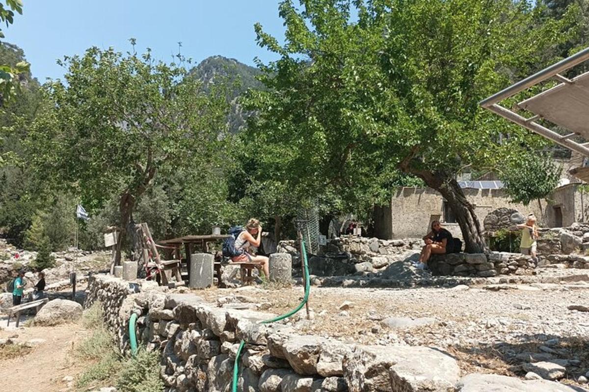 un grup de persones assegudes sota uns arbres