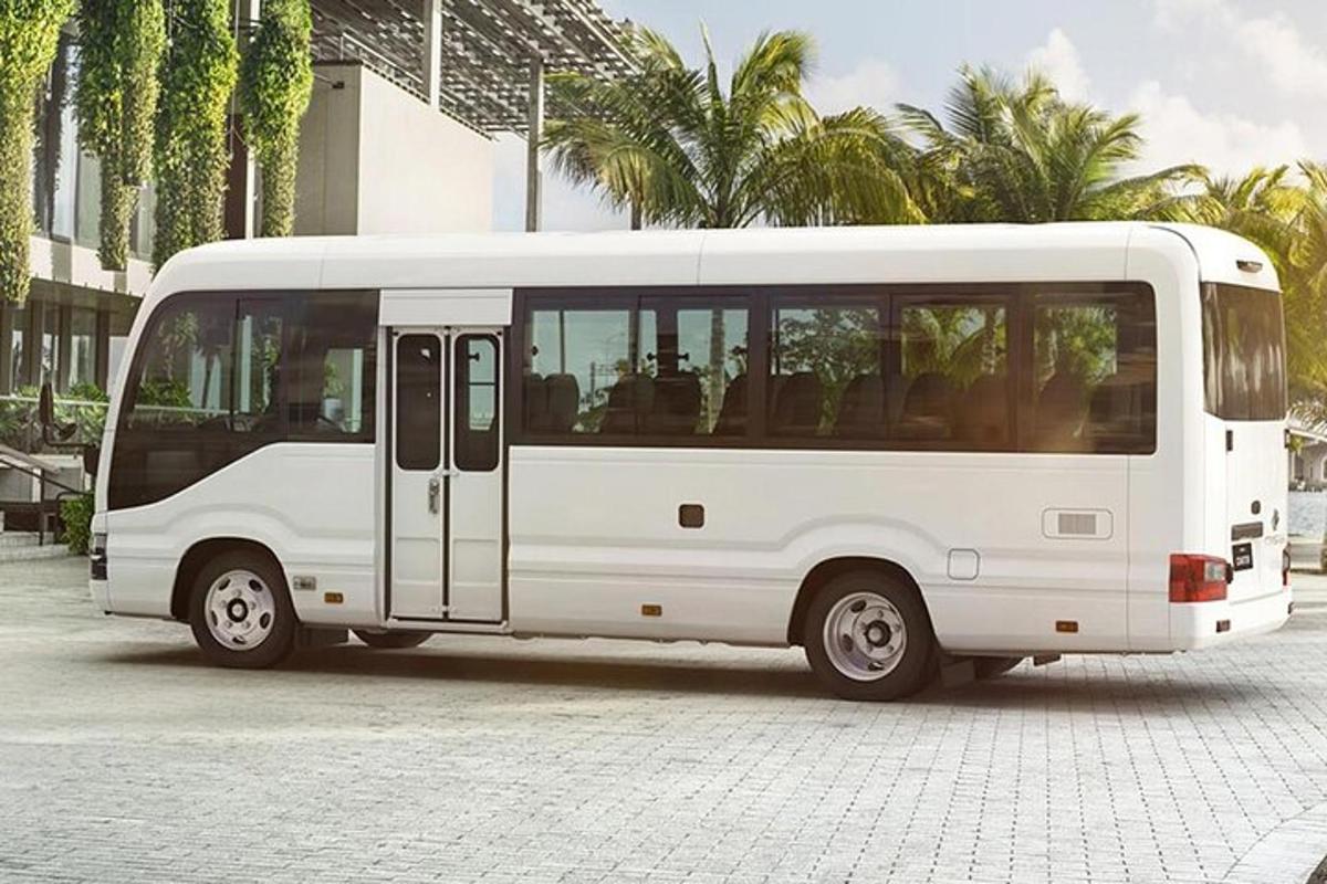 bílý autobus zaparkovaný na parkovišti s palmami