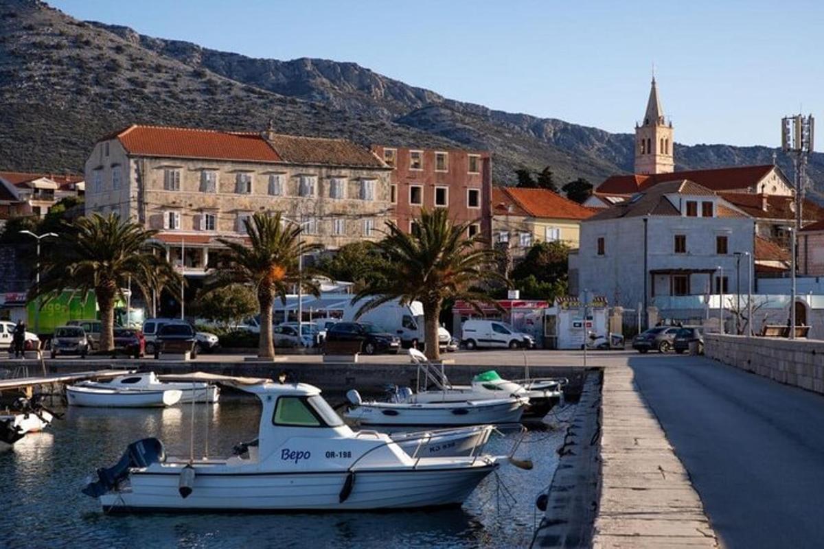 un gruppo di barche è attraccato in un porto