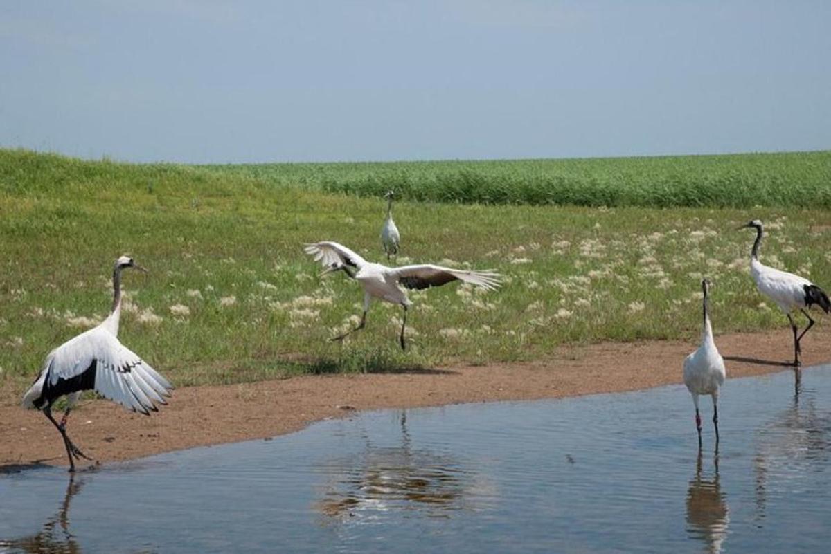 Fotografia atrakcie č. 4