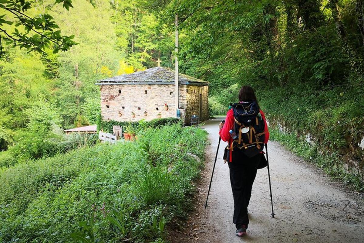 Fotografia 3 a atracției