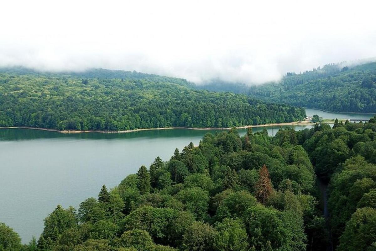 uma vista aérea de um lago no meio de uma floresta
