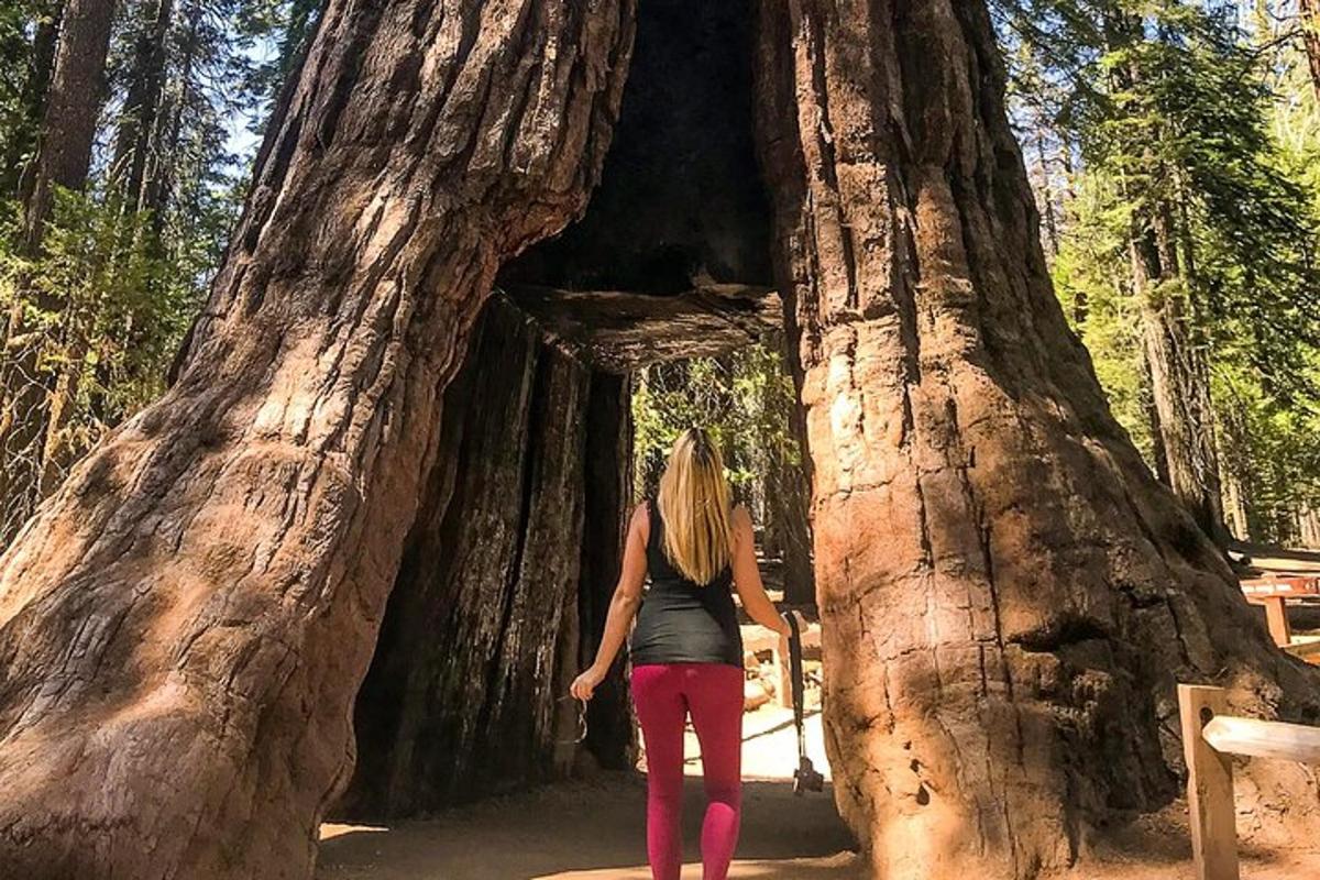 Una mujer parada frente a un gran árbol