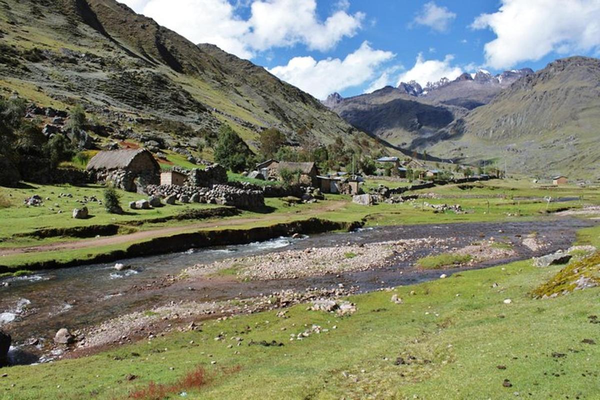 eine Gruppe von Tieren, die auf einem Feld neben einem Fluss grasen