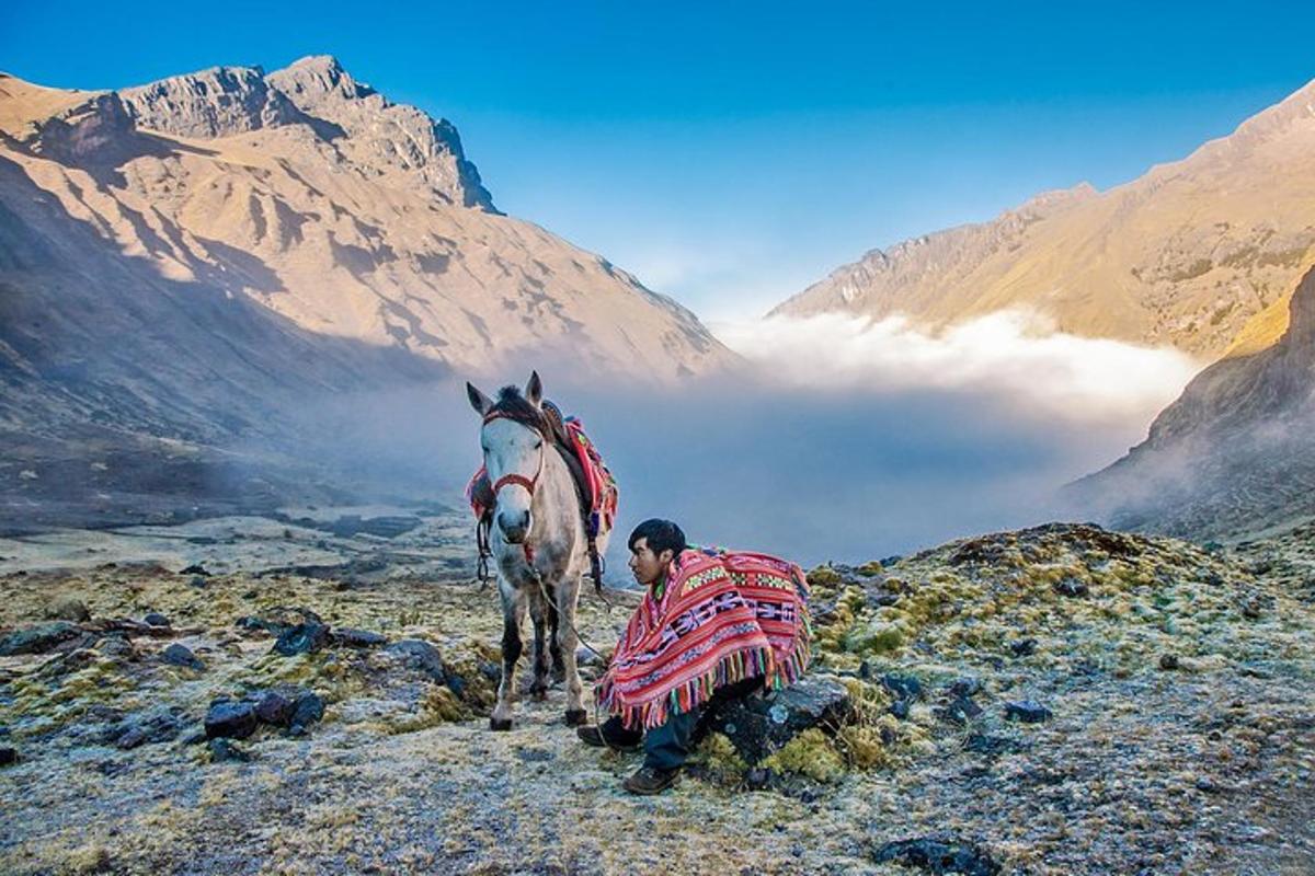 un uomo in piedi accanto a un cavallo su una montagna