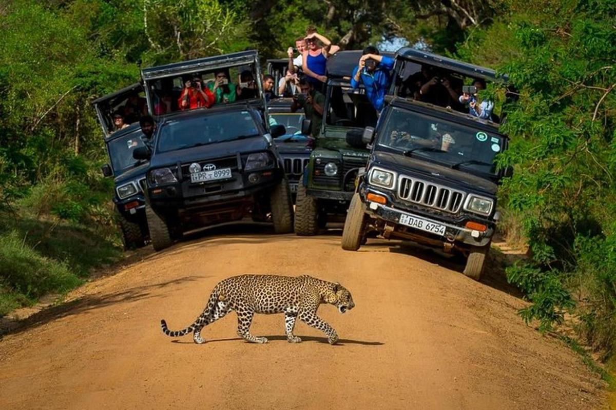 um leopardo caminhando em uma estrada de terra com pessoas