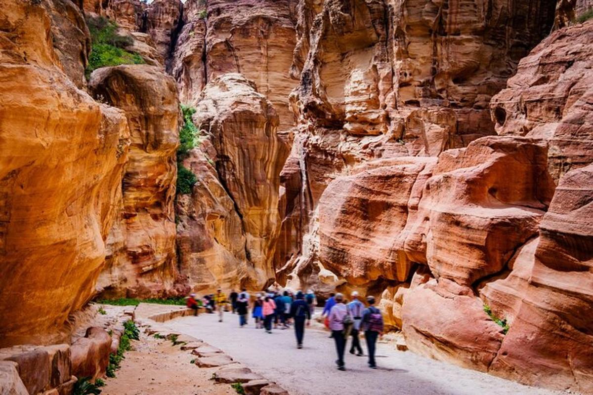 un gruppo di persone che camminano attraverso un canyon