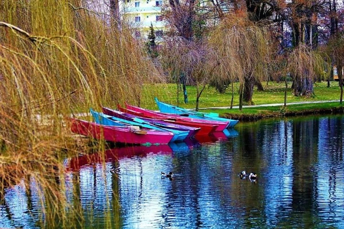 skupina lodí sedících ve vodě