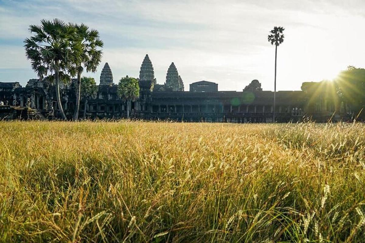 một cánh đồng cỏ cao với một tòa nhà ở phía sau