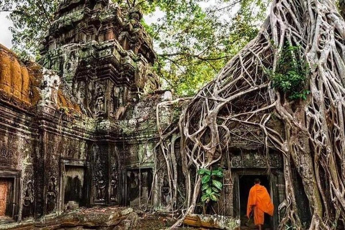Un hombre saliendo de un edificio con raíces de árboles.