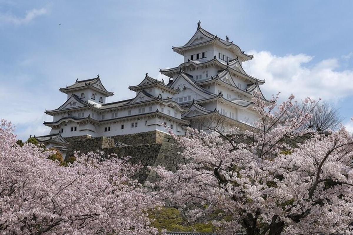 a large castle withakura trees in front of it